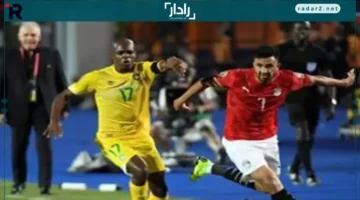 زيمبابوي تواجه الجزائر وقطر في اختبار ودي قبل مواجهة مصر